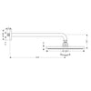 Hansgrohe Raindance Air 300 Overhead Shower & Arm - Indesign